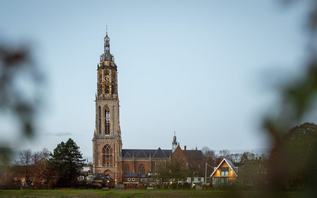 Gemeenten versoepelen regels voor woningen in de tuin. (Voorbeeld case: Gemeente Rhenen)