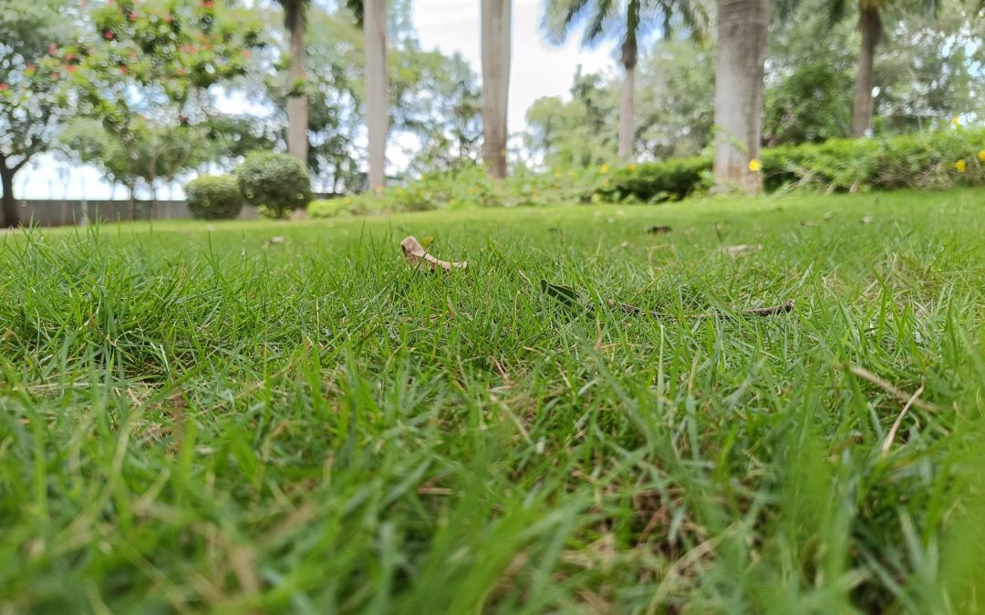 Hoe werkt het recht van opstal bij plaatsing van een mantelzorgwoning?